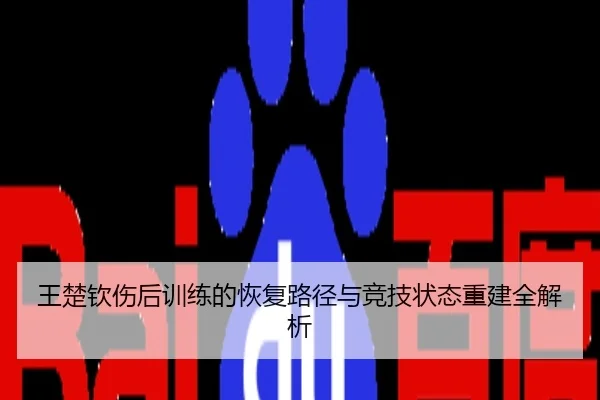 王楚钦伤后训练的恢复路径与竞技状态重建全解析