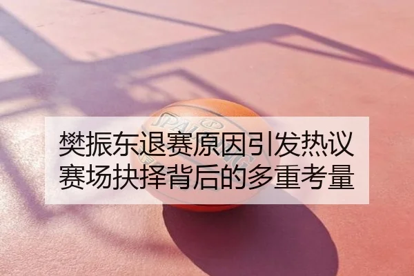 樊振东退赛原因引发热议 赛场抉择背后的多重考量